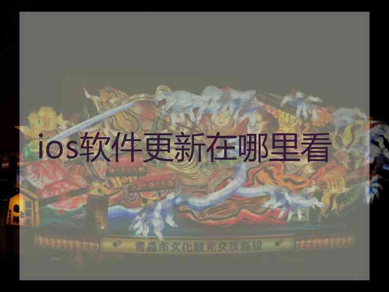 ios软件更新在哪里看