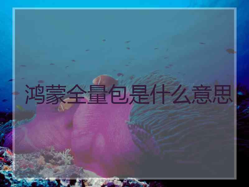 鸿蒙全量包是什么意思