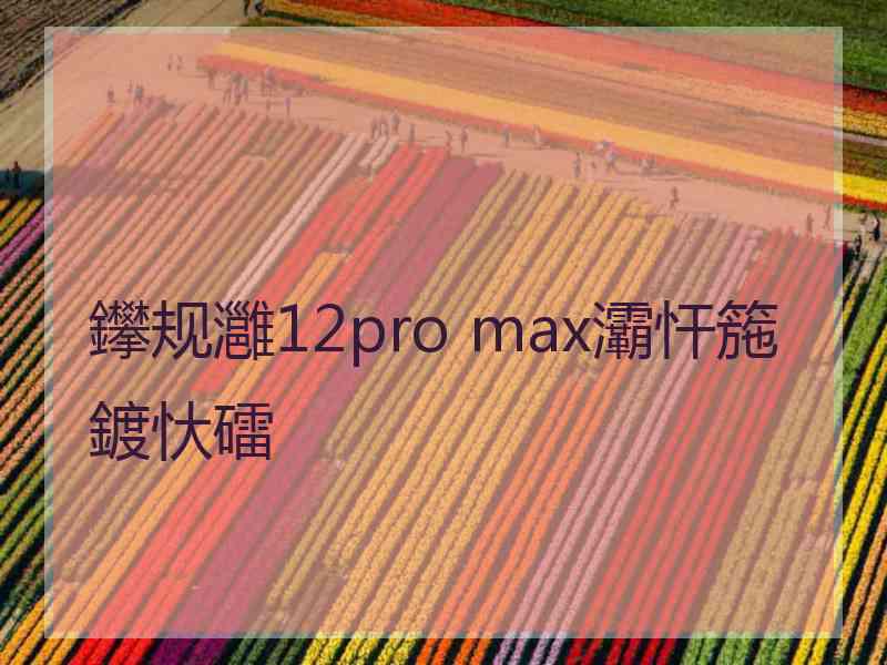 鑻规灉12pro max灞忓箷鍍忕礌