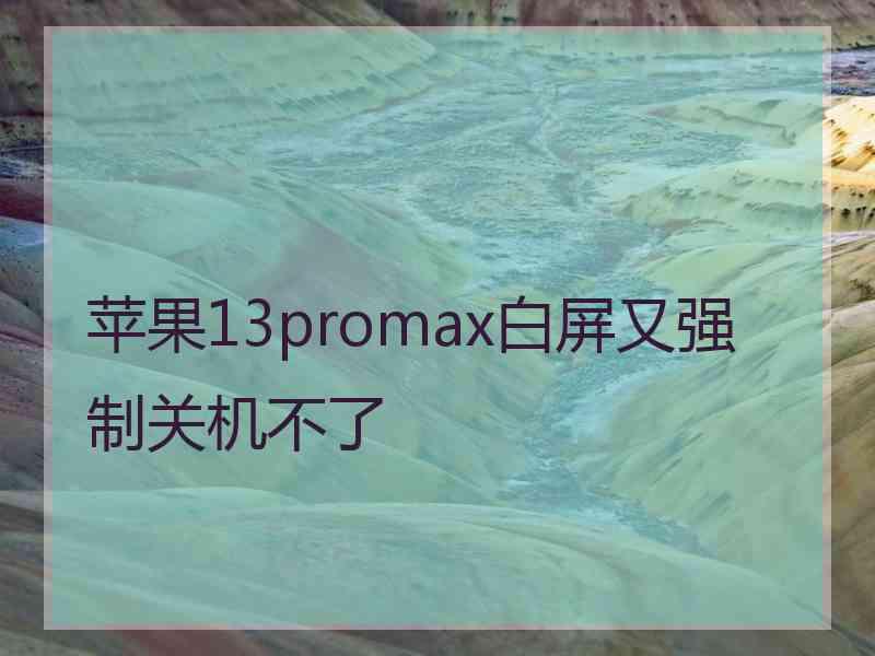 苹果13promax白屏又强制关机不了