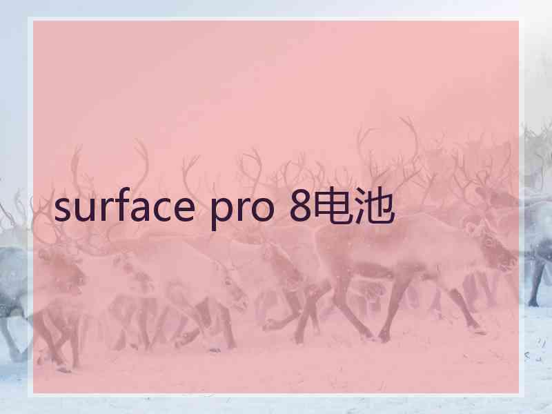 surface pro 8电池