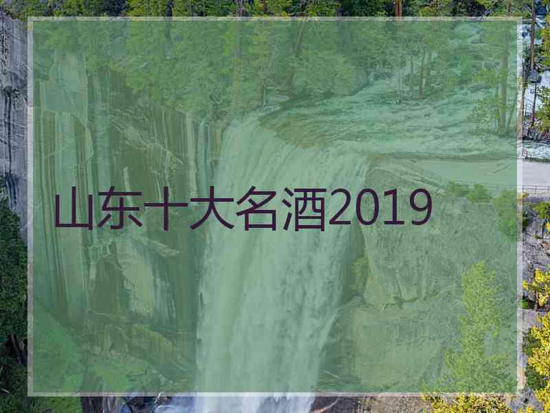 山东十大名酒2019