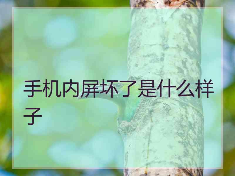 手机内屏坏了是什么样子