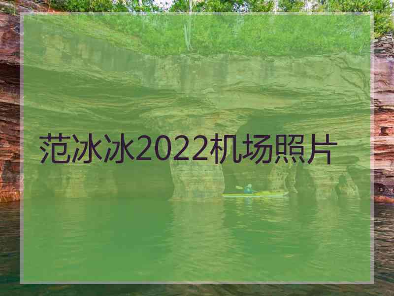 范冰冰2022机场照片