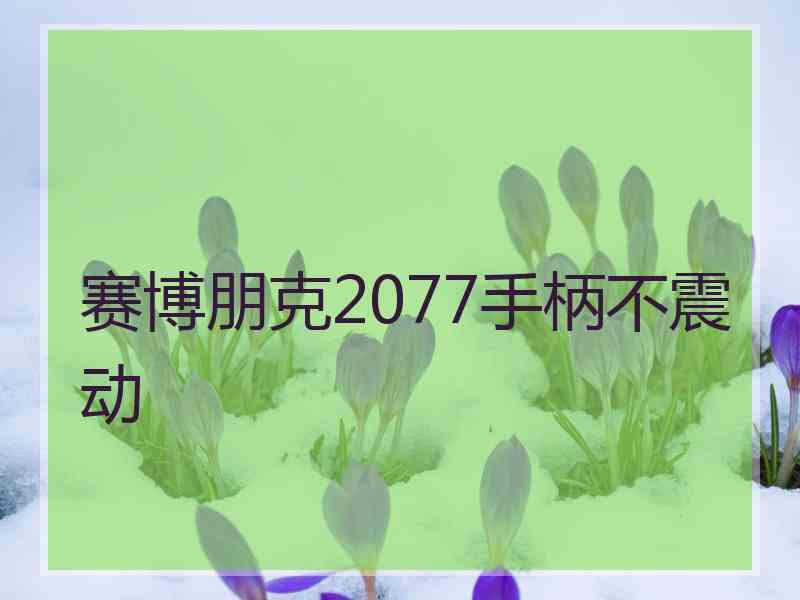 赛博朋克2077手柄不震动