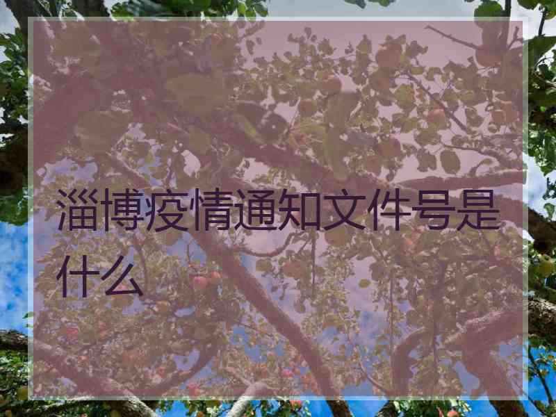 淄博疫情通知文件号是什么