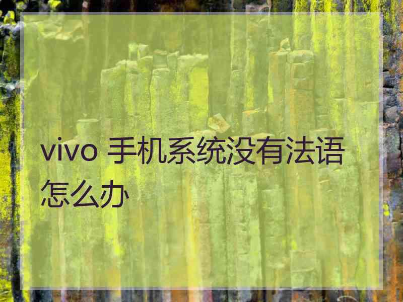 vivo 手机系统没有法语怎么办