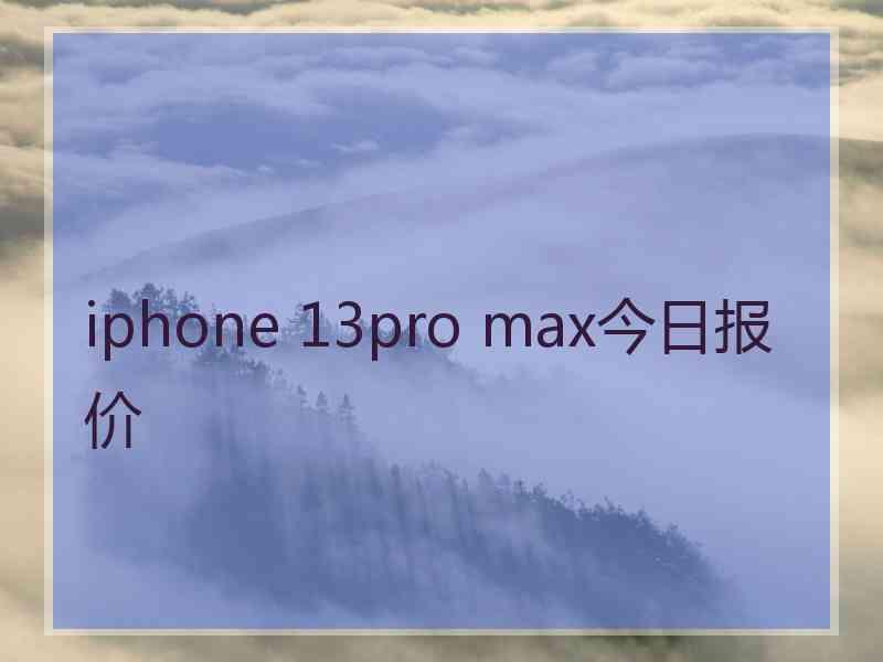 iphone 13pro max今日报价