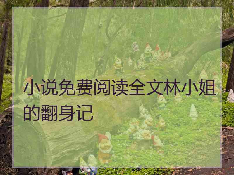 小说免费阅读全文林小姐的翻身记