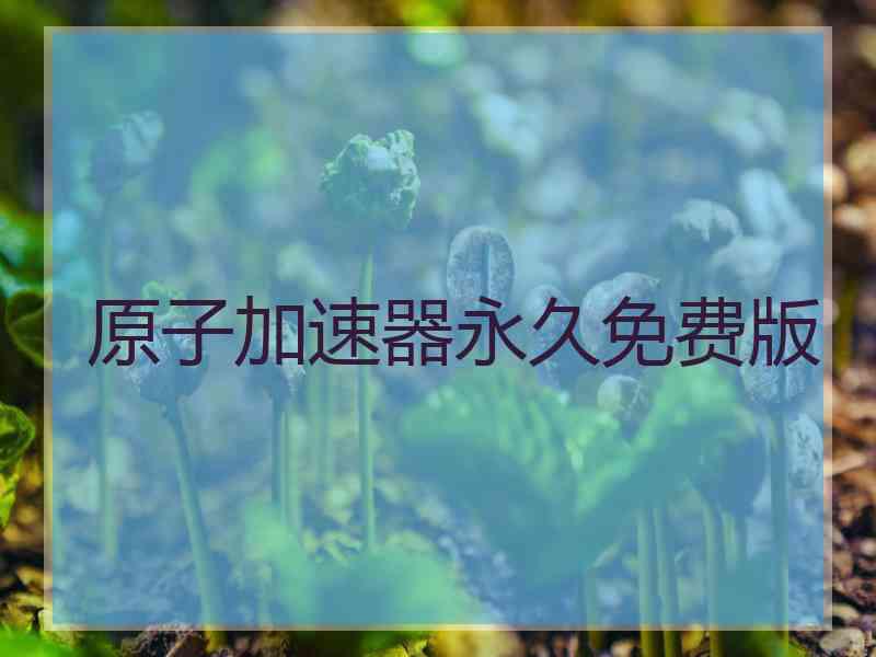 原子加速器永久免费版