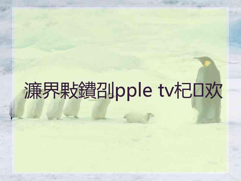 濂界敤鐨刟pple tv杞欢