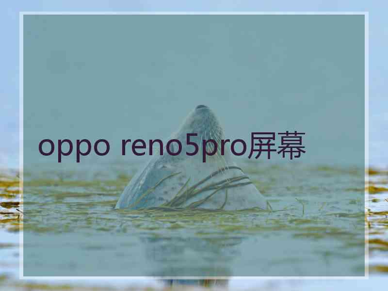 oppo reno5pro屏幕