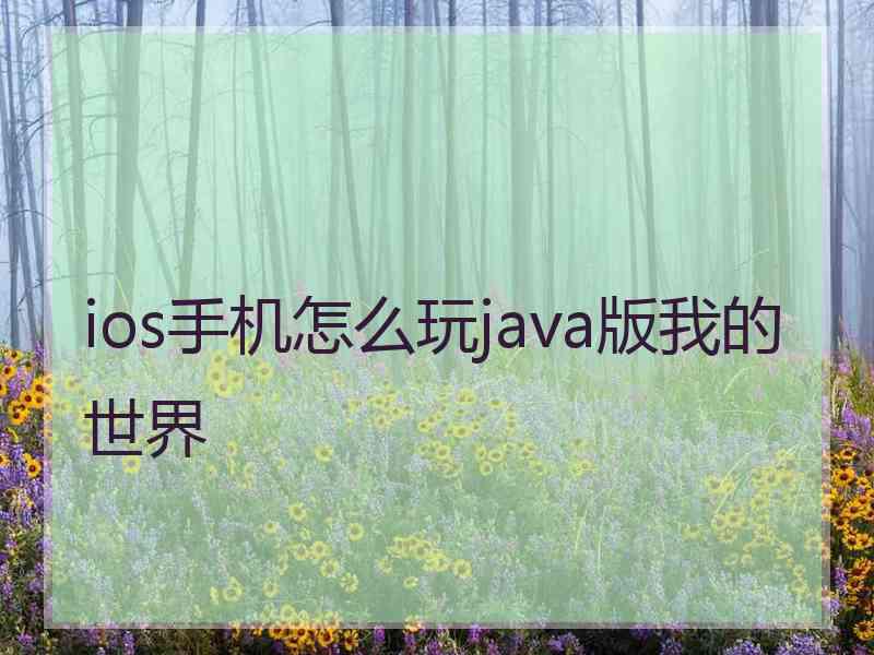 ios手机怎么玩java版我的世界