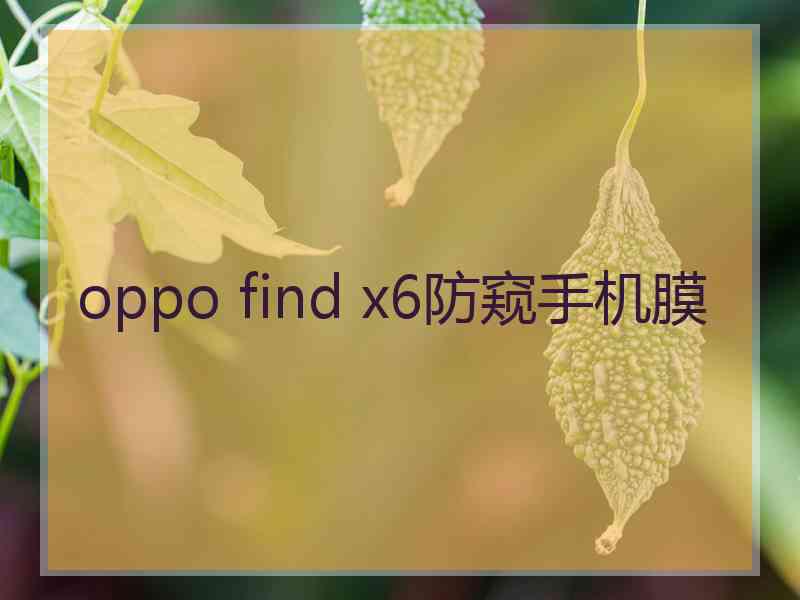 oppo find x6防窥手机膜