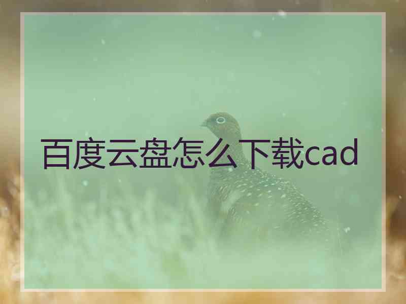 百度云盘怎么下载cad