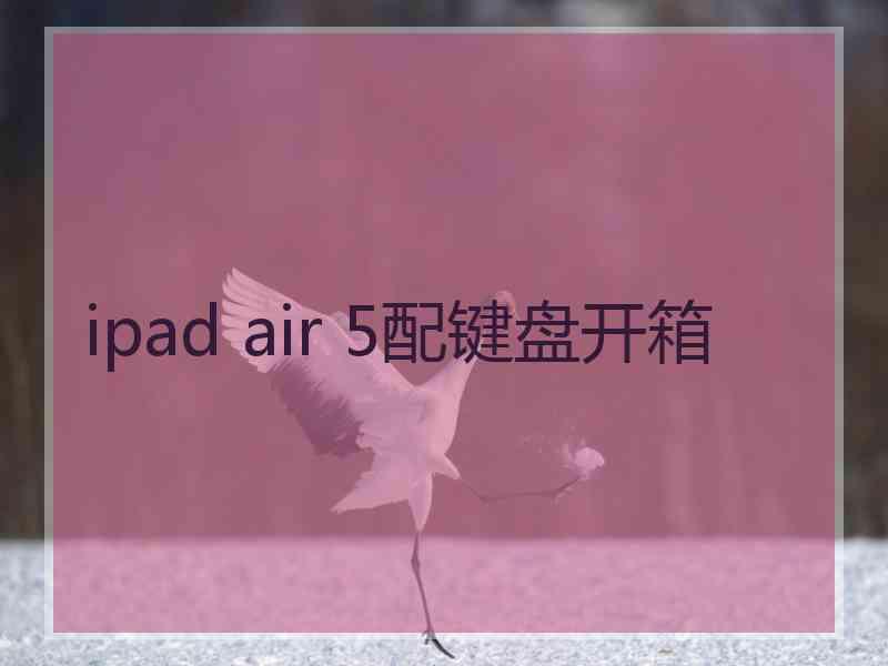 ipad air 5配键盘开箱