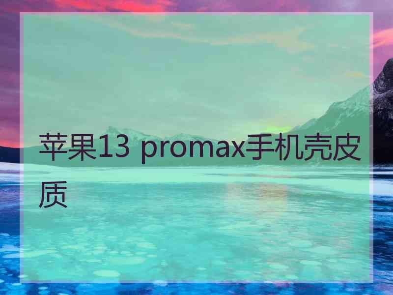 苹果13 promax手机壳皮质