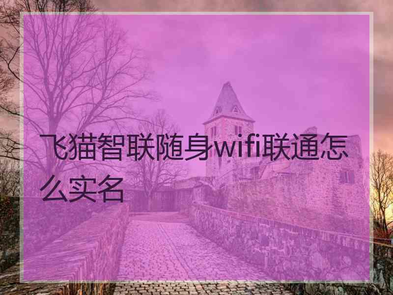 飞猫智联随身wifi联通怎么实名