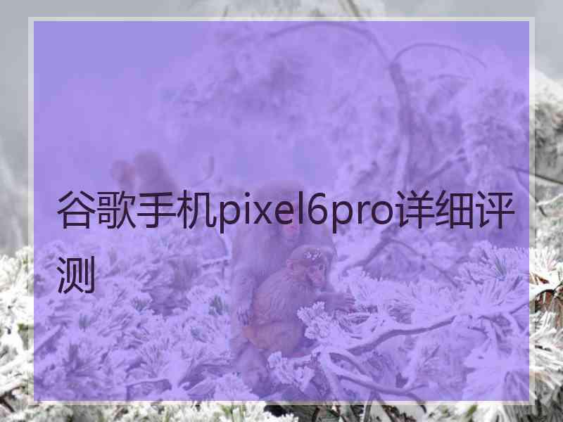 谷歌手机pixel6pro详细评测