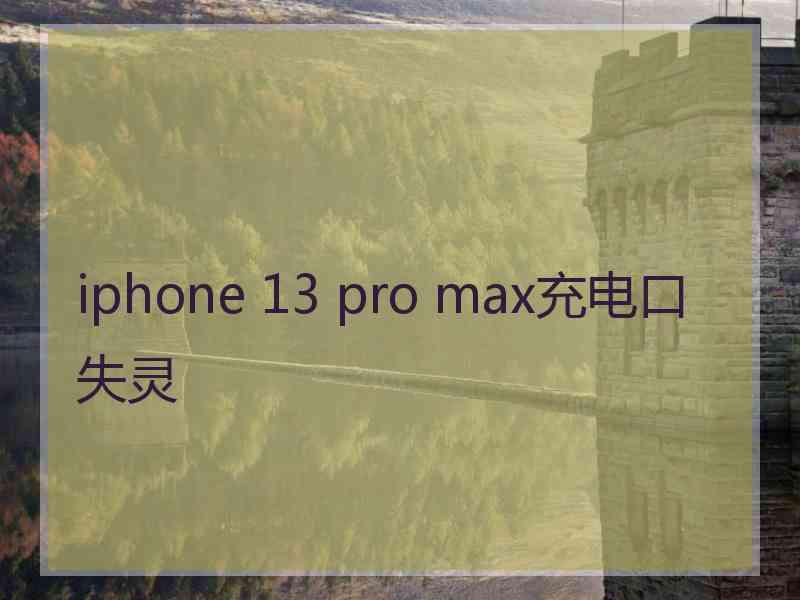 iphone 13 pro max充电口失灵