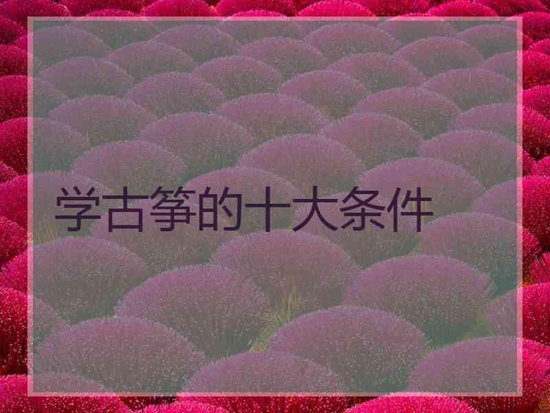 学古筝的十大条件