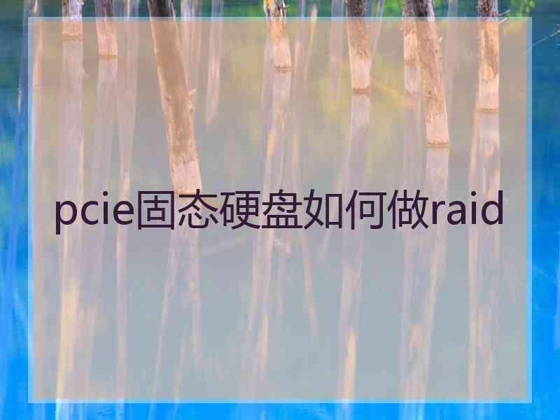 pcie固态硬盘如何做raid