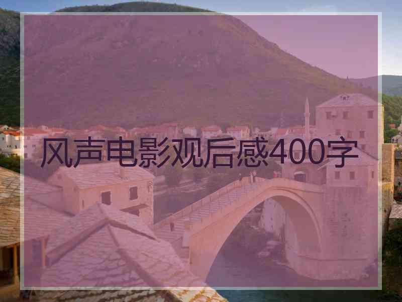 风声电影观后感400字