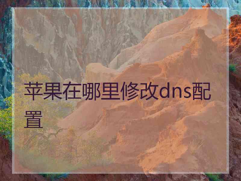 苹果在哪里修改dns配置