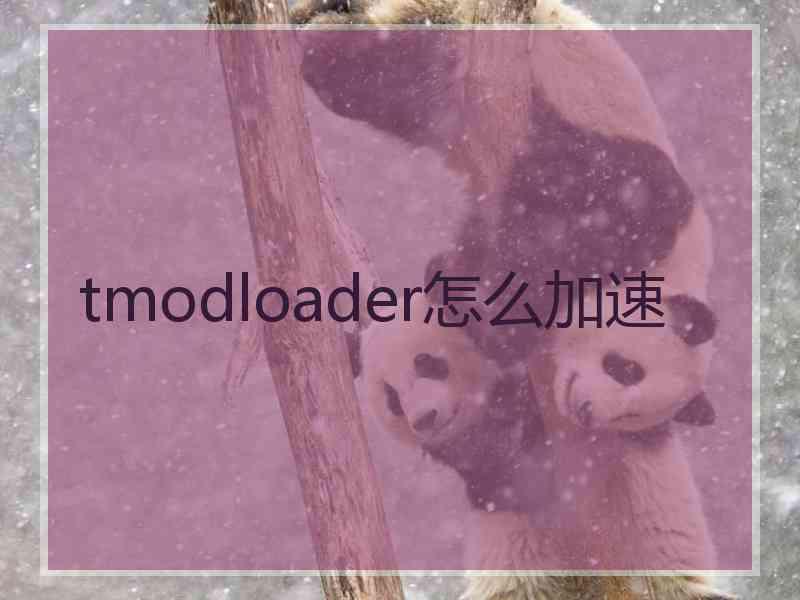 tmodloader怎么加速