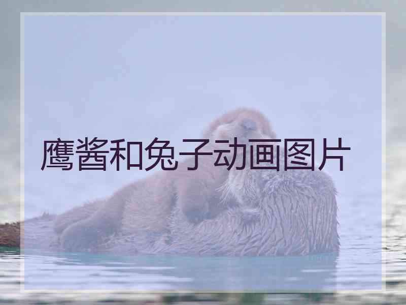 鹰酱和兔子动画图片