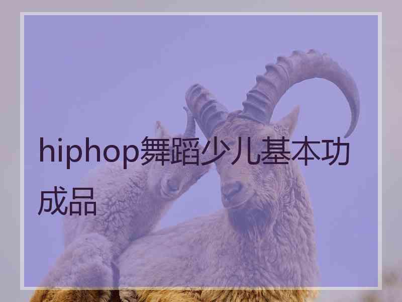 hiphop舞蹈少儿基本功成品