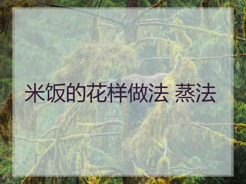 米饭的花样做法 蒸法