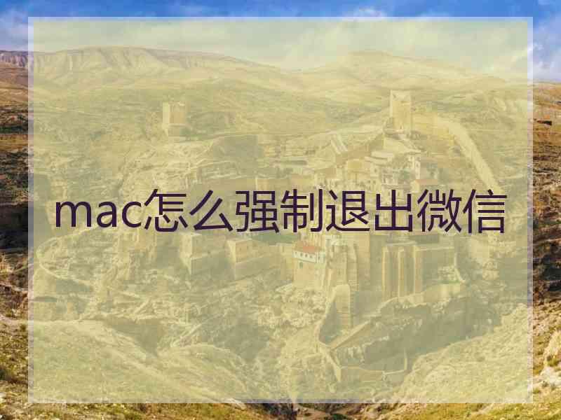 mac怎么强制退出微信