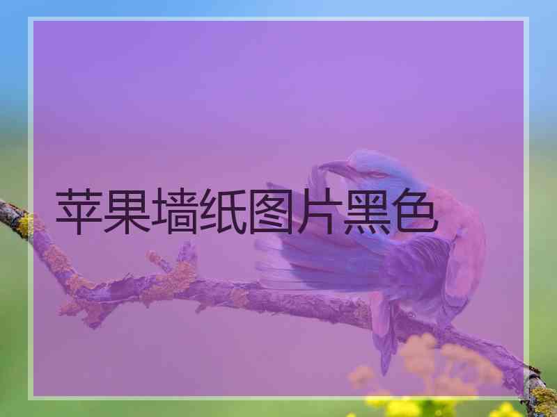 苹果墙纸图片黑色