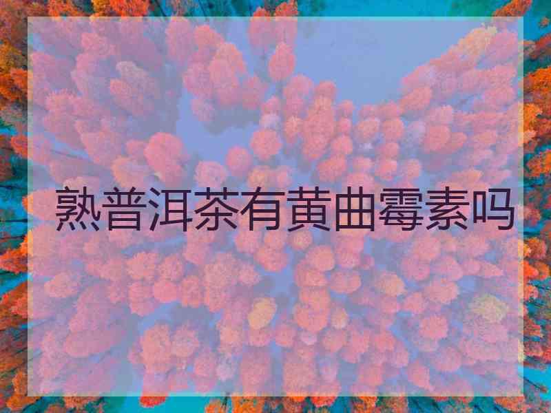 熟普洱茶有黄曲霉素吗