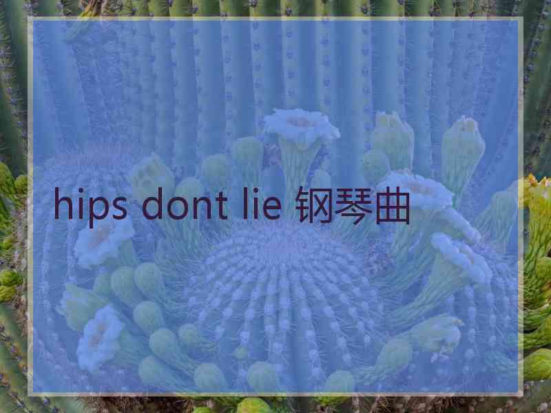 hips dont lie 钢琴曲