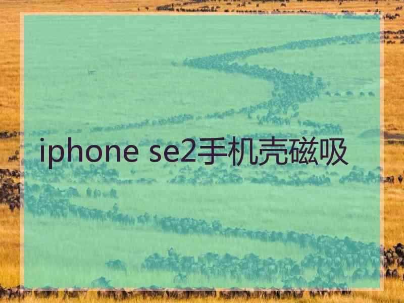 iphone se2手机壳磁吸