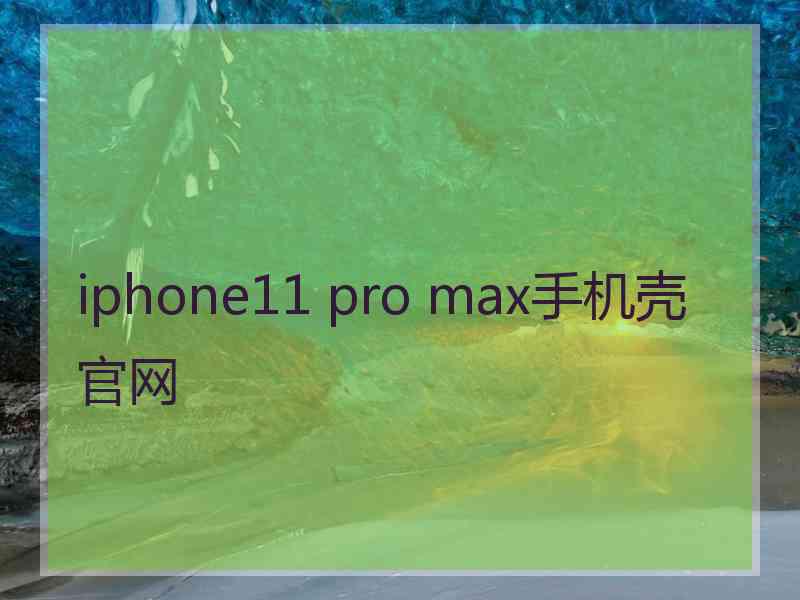 iphone11 pro max手机壳官网