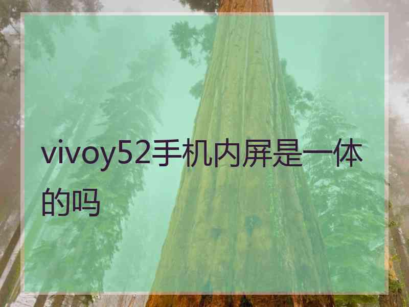 vivoy52手机内屏是一体的吗