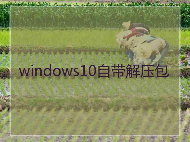 windows10自带解压包