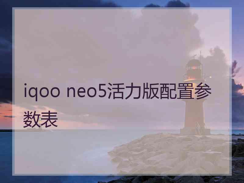 iqoo neo5活力版配置参数表