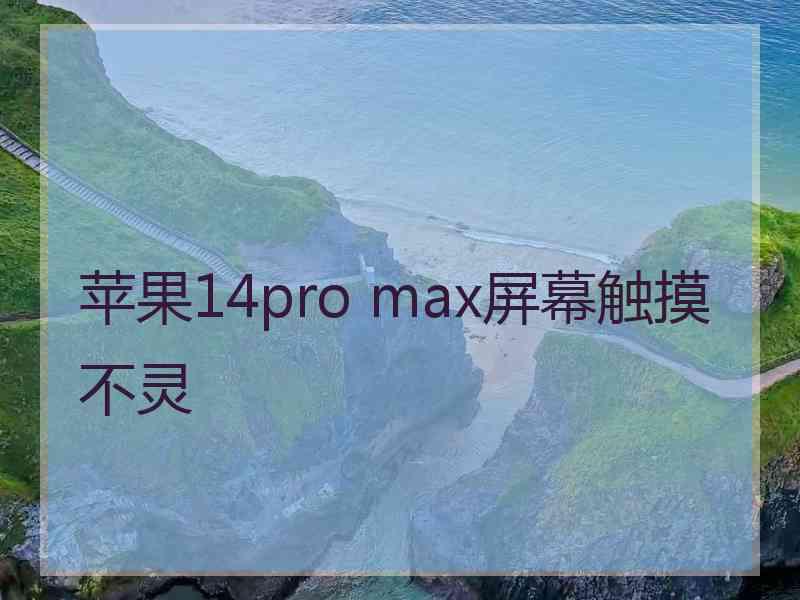 苹果14pro max屏幕触摸不灵