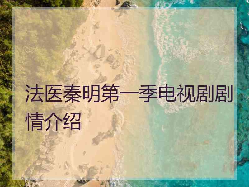 法医秦明第一季电视剧剧情介绍