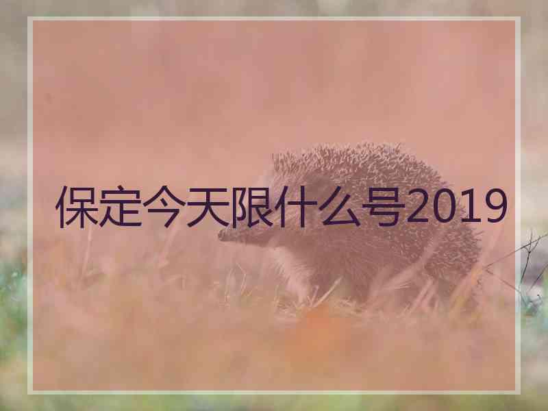 保定今天限什么号2019