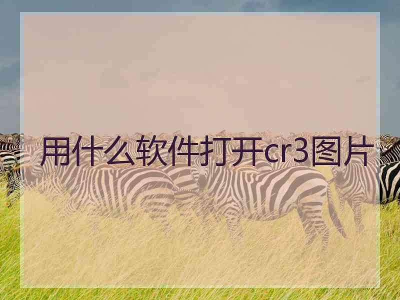 用什么软件打开cr3图片