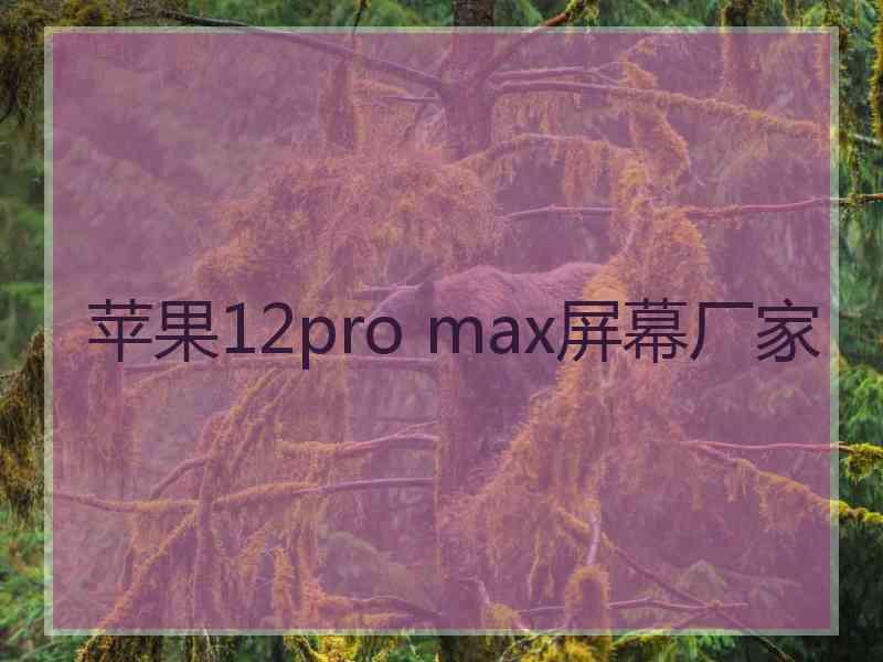 苹果12pro max屏幕厂家