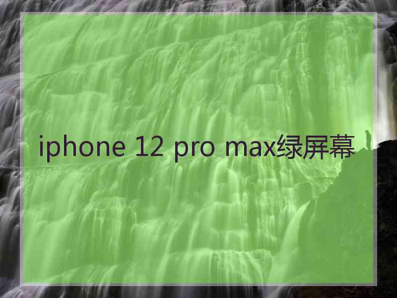 iphone 12 pro max绿屏幕