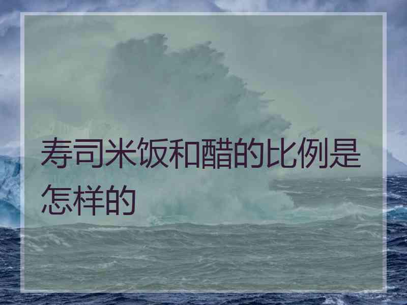 寿司米饭和醋的比例是怎样的