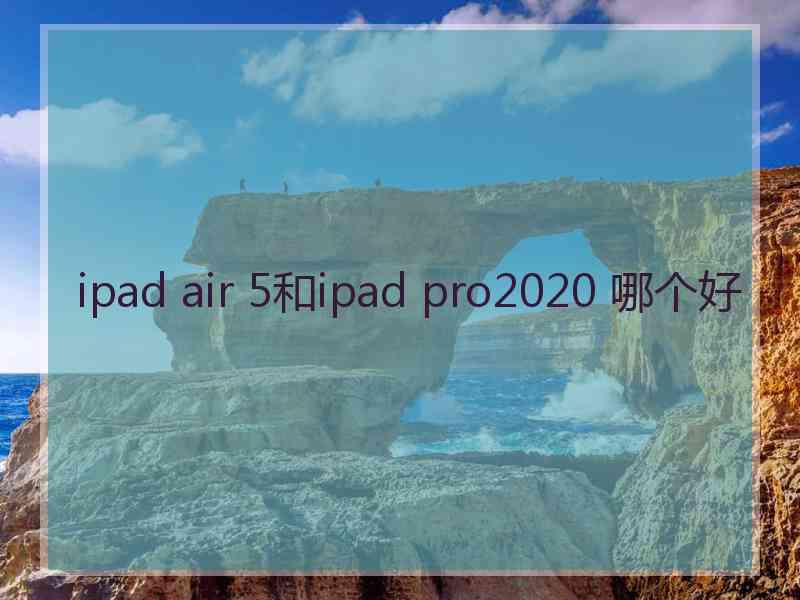 ipad air 5和ipad pro2020 哪个好