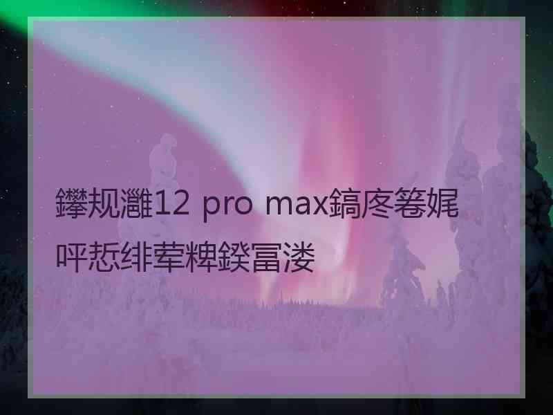 鑻规灉12 pro max鎬庝箞娓呯悊绯荤粺鍨冨溇